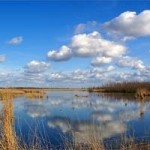 lauwersmeer4