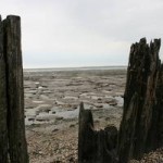 wadden 2