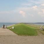 wadden 6