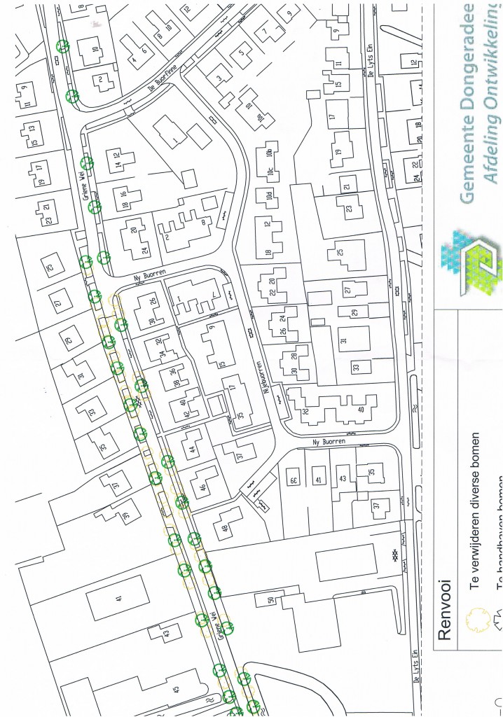 vervanging bomen Griene Wei