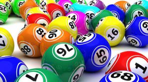 Levend Bingo @ de Basisschool de 'Wrâldwizer'