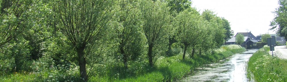 Welkom in Oosternijkerk