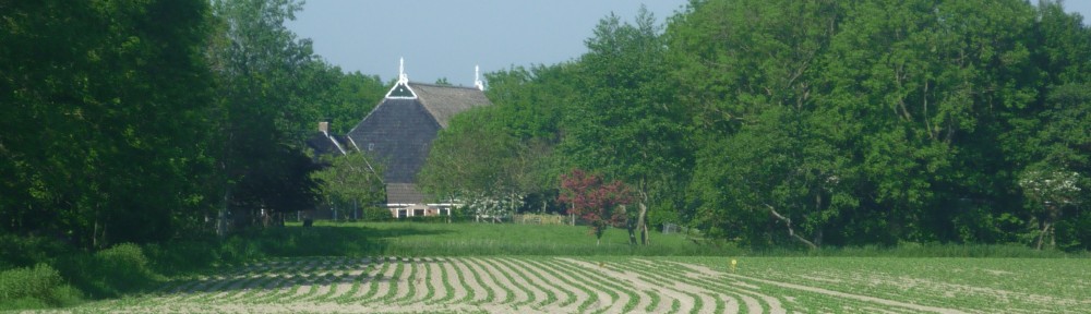 Welkom in Oosternijkerk